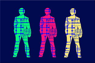 九游体育电竞-体育赛事数字化运营模式探讨,体育数字化转型
